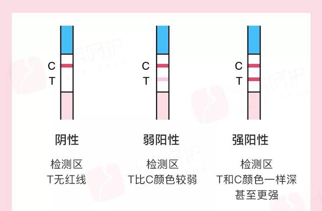 怎么样才能快怀孕呢(快速受孕的3个方法)