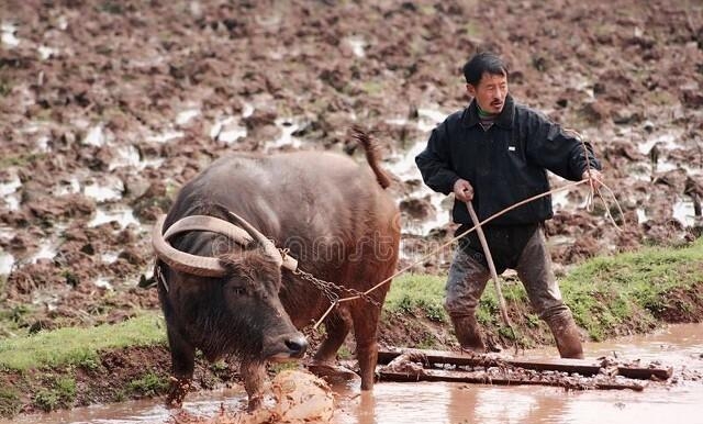 打仗的话什么东西会涨价呀（打仗必涨价的3类物品）