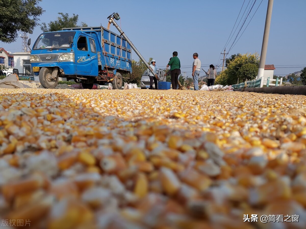 跨国婚姻需要什么手续(跨国结婚要改国籍吗)