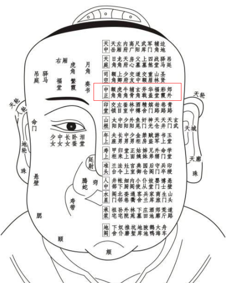 脸部各个部位名称叫什么（关于面部一百二十部位详解）