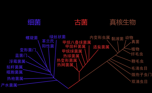 地球是什么时候诞生的呢（推测地球还能存活多久）