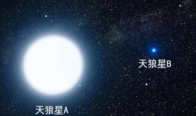 天狼星的寓意及象征（天狼星的传说故事）