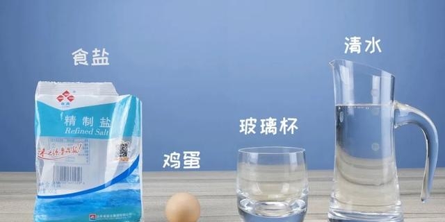 漂浮的鸡蛋原理是什么（漂浮的鸡蛋实验操作步骤分享）