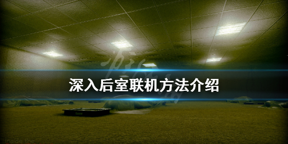 《深入后室》联机进不去怎么办？联机方法介绍