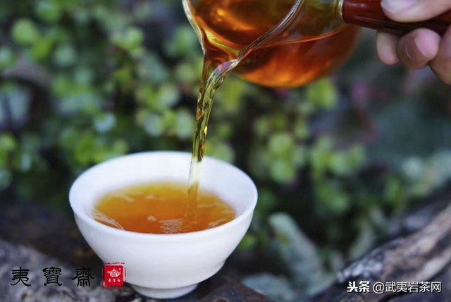 金牡丹茶属于什么茶(详细介绍金牡丹及图片）