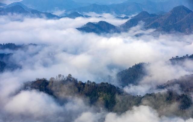 黄山属于安徽哪个市呀（给你们详细介绍一下安徽省）