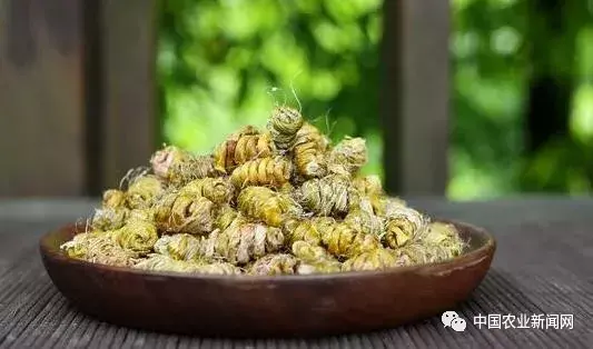 种植什么药材最赚钱收益快（推荐农村种植这4种药材）