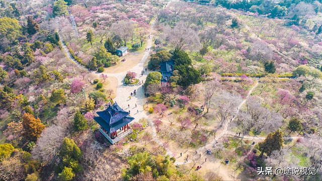 南京景区排名必游景区推荐（强推南京十大著名热门景点）