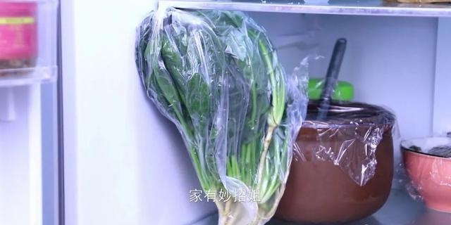 菠菜怎么保存新鲜不烂呢（家用菠菜正确的长久保存方法）