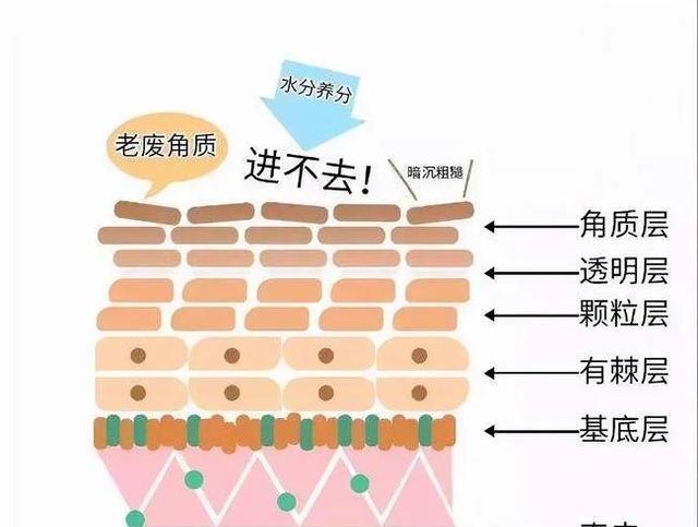 去角质对皮肤有什么好处（皮肤正确去角质的好处分享）