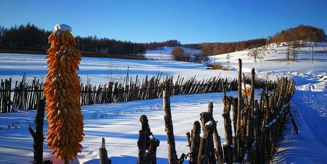 吉林雪乡具体在哪里呀（分享吉林雪乡绝美图片）