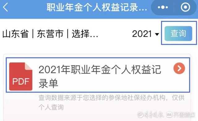 山东职业年金个人账户查询（电子社保卡线上查职业金流程） 