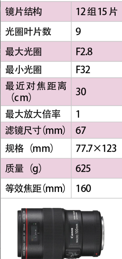 佳能镜头怎么选择（教你如何正确选择镜头）