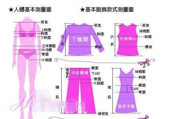 女人衣服型号对照表（全网最全衣服尺码对照表）