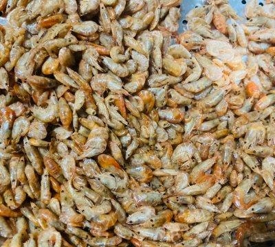 河虾的功效与作用是什么（家常小炒河虾烹饪秘方）