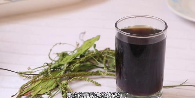 车前草茶制作方法是什么（分享车前草凉茶制作流程）