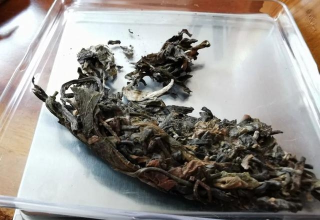 普洱茶的冲泡方法（怎么喝普洱茶才正确的）