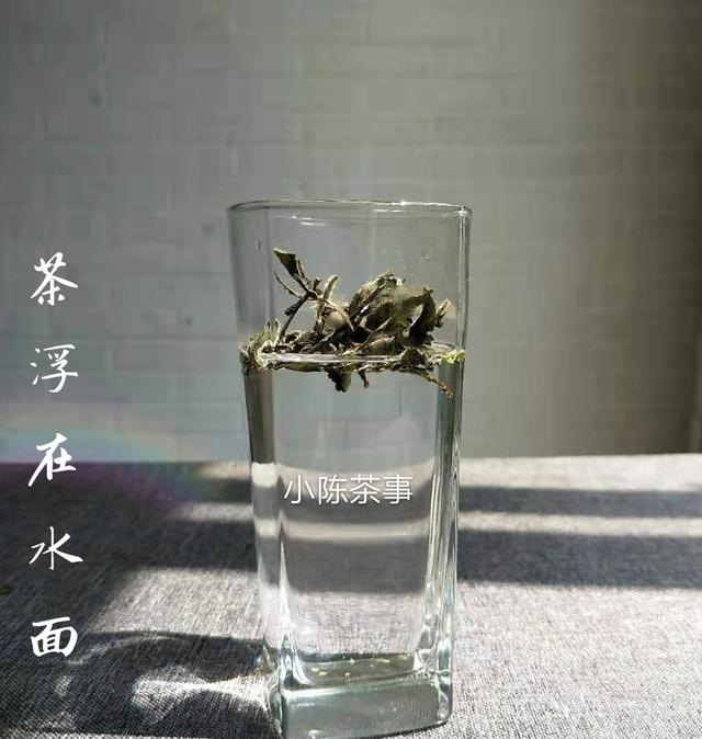 用玻璃杯泡白茶为何总是味道浓苦（怎样用玻璃杯泡茶）