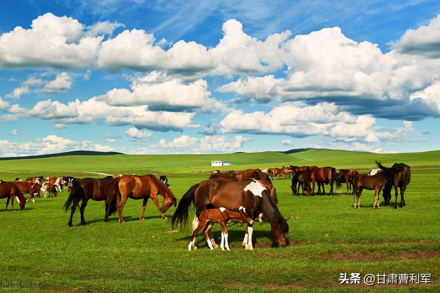 国内最值得去的旅游胜地大全（中国不去后悔的10大最美景区）