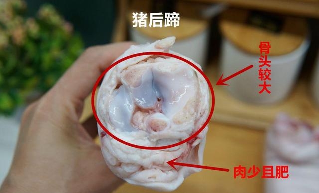 猪蹄怎么选前蹄和后蹄哪个好（区分猪前蹄和猪后蹄的4个方法）