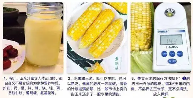 水果玉米的功效与作用（水果玉米可以煮着吃吗）