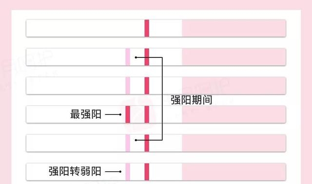 怎么样才能快怀孕呢(快速受孕的3个方法)