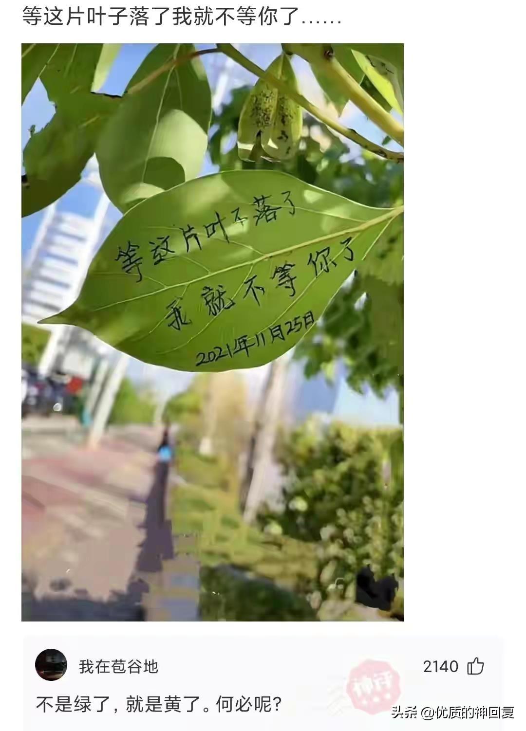 结婚证下面的字母是什么意思(结婚证上的字母是什么意思)