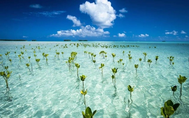 世界上最好的地方有哪些（种草世界上最美的6个地方）