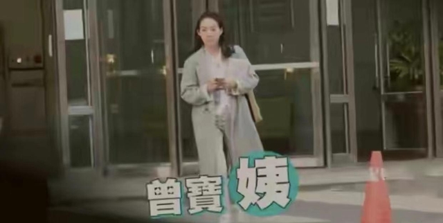 曾宝仪为什么不结婚(曾宝仪为什么没结婚)