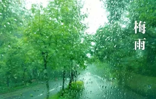 梅雨季节是什么意思呀（梅雨季节的由来及各地入梅时间）