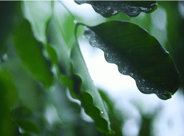 电脑qq录屏怎么弄（电脑快速录屏的2种方法）