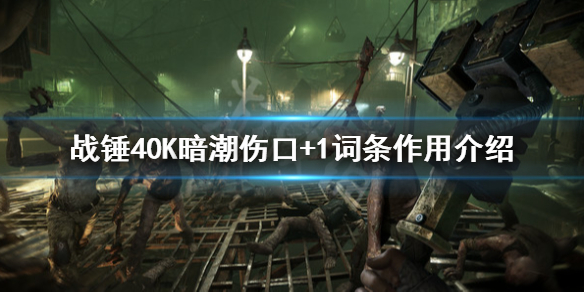 《战锤40K暗潮》伤口+1有什么用？伤口+1词条作用介绍