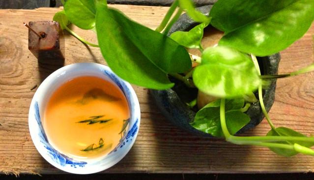 水仙茶属于什么茶（ 水仙茶怎么冲泡呢）