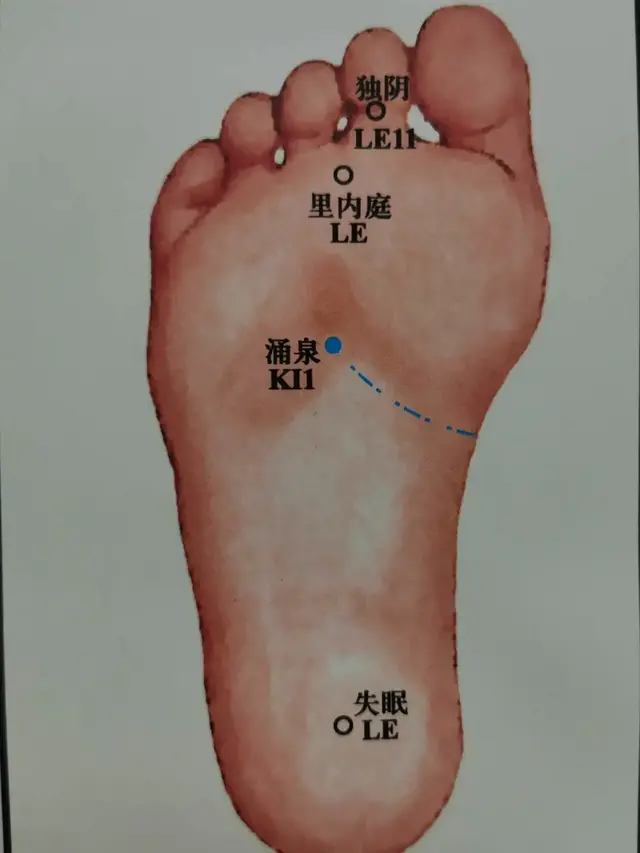 足底涌泉在哪个位置（若要老人安涌泉常温暖）