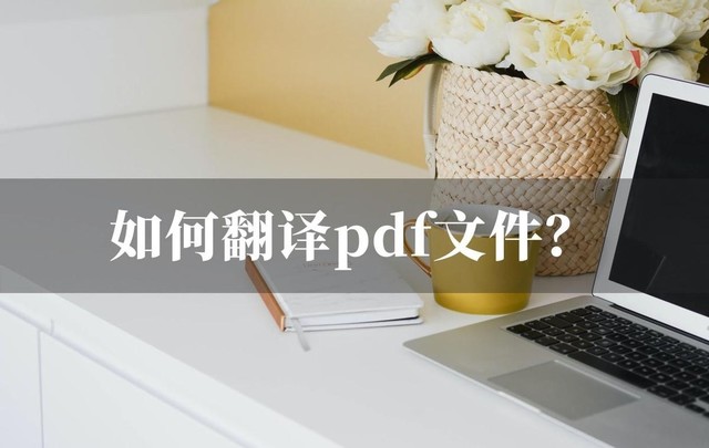 pdf翻译功能怎么用呀（如何翻译pdf文件的2种办法）