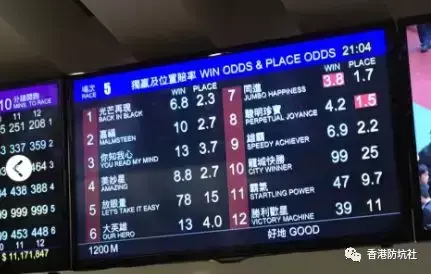 独赢是什么意思（香港吃喝玩乐之赛马）