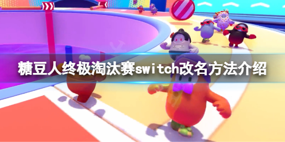 《糖豆人终极淘汰赛》switch怎么改名？switch改名方法介绍