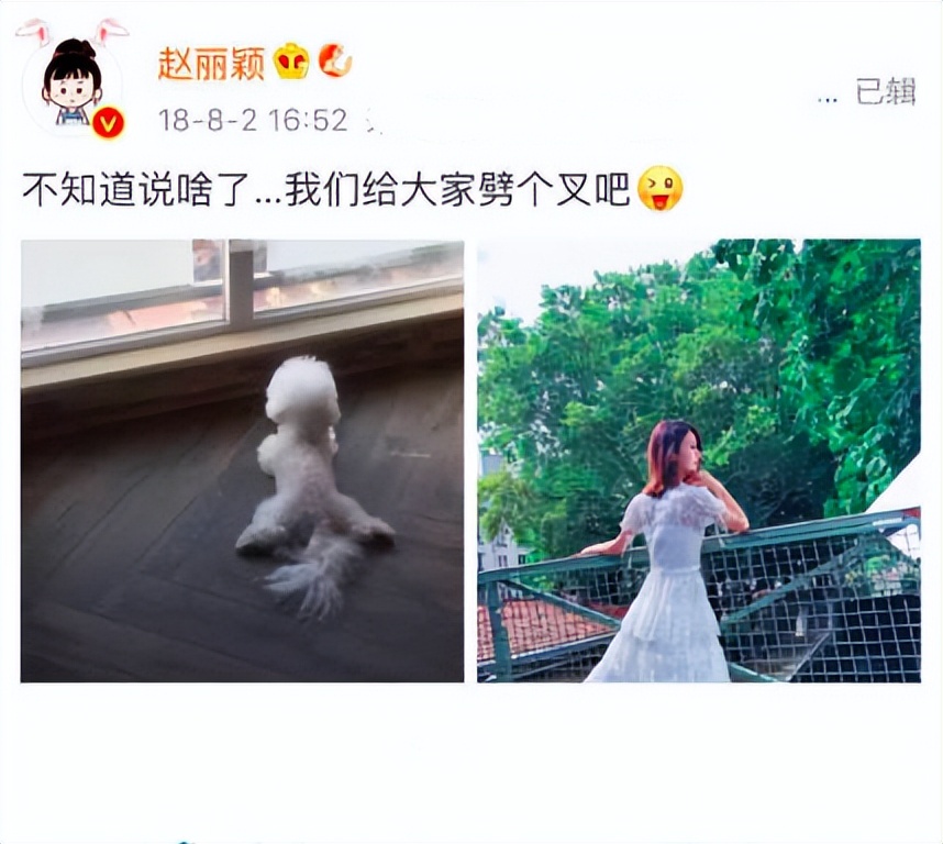 冯绍峰为什么不结婚(冯绍峰又要和谁结婚)