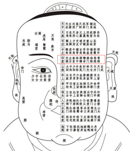 脸部各个部位名称叫什么（关于面部一百二十部位详解）