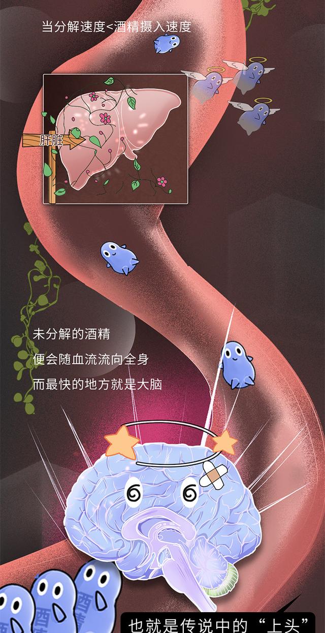 喝酒后什么解酒效果最快（家用最佳解酒方法）