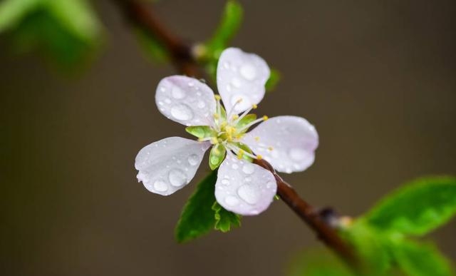 2022梅雨季节是什么时间（附各大地区出梅时间）