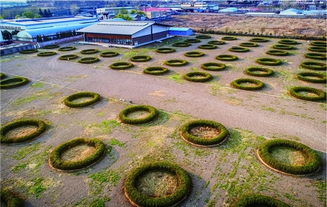 赵州桥建于哪个朝代呀（隋朝的四个雄伟建筑介绍)