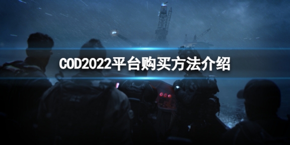 《使命召唤19现代战争2》哪个平台可以购买？ 平台购买方法介绍