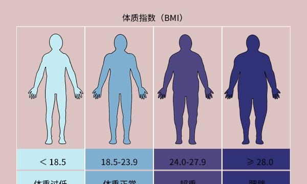 女性体脂率的正常范围是多少（好身材应符合的3个标准）