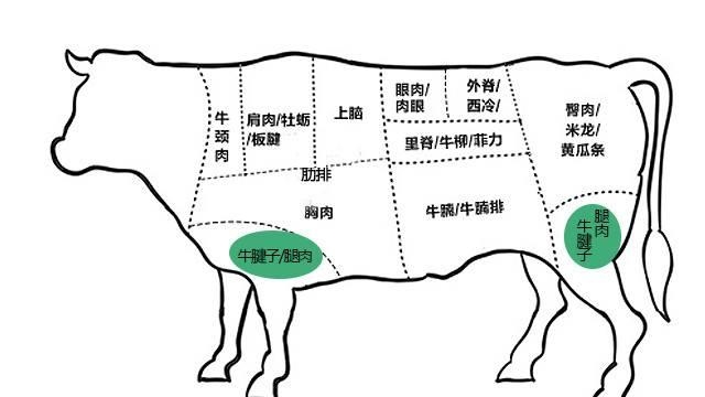 牛肉馅饺子用什么部位的牛肉好吃（牛肉饺子正确挑选牛肉方法）