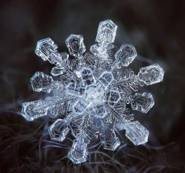 水变成晶体是什么（水的结晶形态介绍及图片）