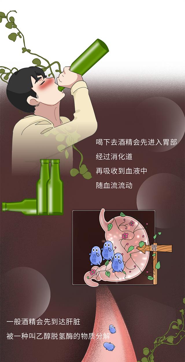 喝酒后什么解酒效果最快（家用最佳解酒方法）