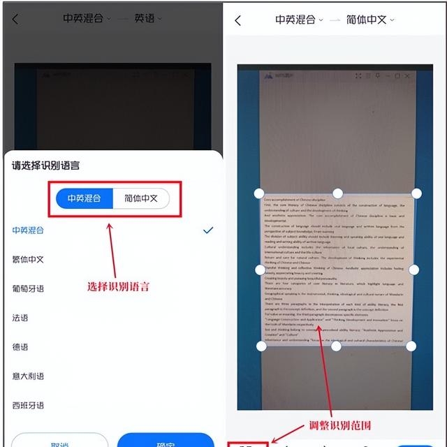 英语单词翻译软件有哪些（不容错过的好用的英语翻译app）