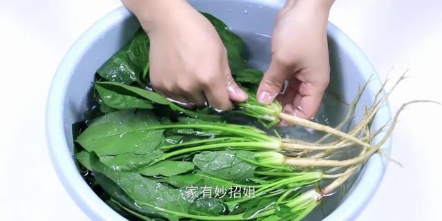 菠菜怎么保存新鲜不烂呢（家用菠菜正确的长久保存方法）