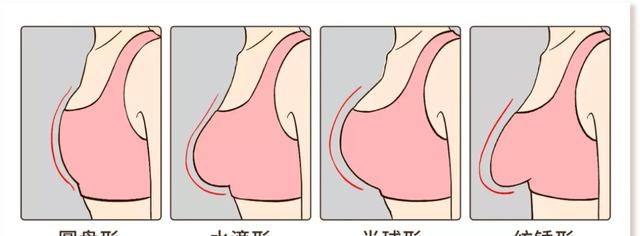 女生的胸是什么样的（全网最全女生胸部形状大全）